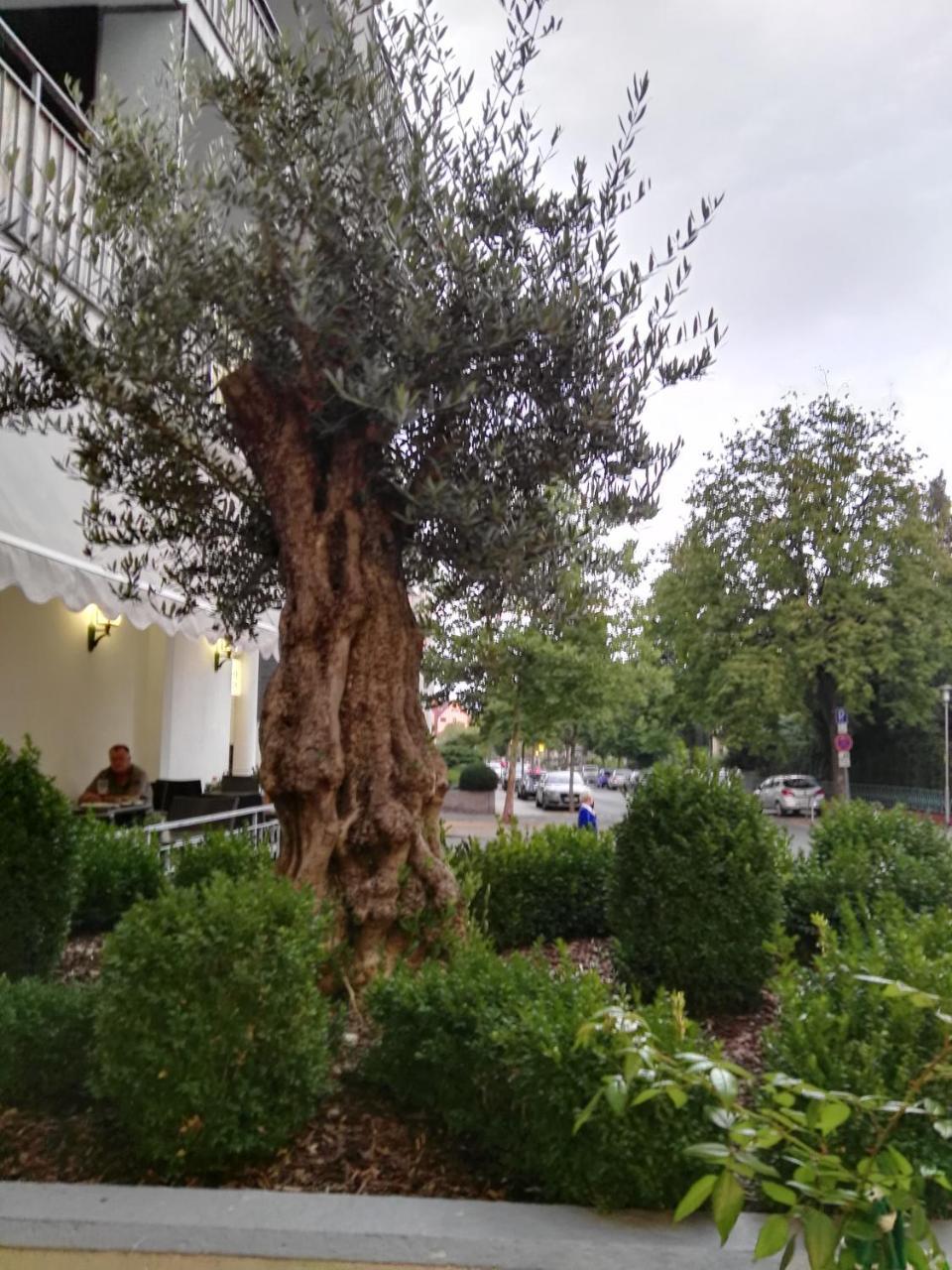 Hotel Carolinenhof Бад Пирмонт Екстериор снимка